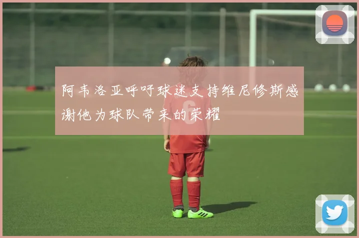 阿韦洛亚呼吁球迷支持维尼修斯感谢他为球队带来的荣耀