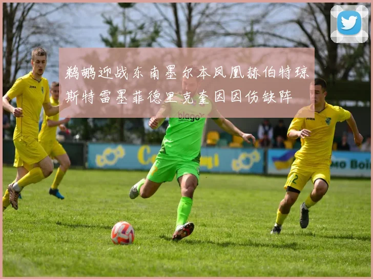 鹈鹕迎战东南墨尔本凤凰赫伯特琼斯特雷墨菲德里克奎因因伤缺阵